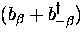 $(b_{\beta} + b_{-\beta}^{\dagger})$